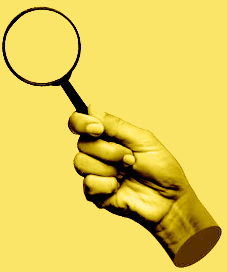 magnifier / loupe